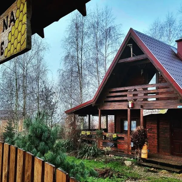Domki na Górce，位于Wądzyn的酒店