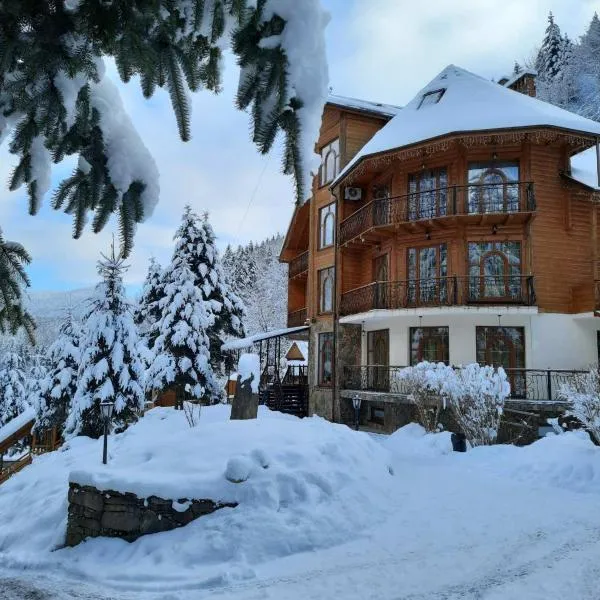 Hotel Dykyi Med，位于塔塔里夫的酒店