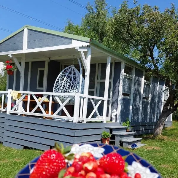 Căsuța din poveste，位于Sohodol的酒店