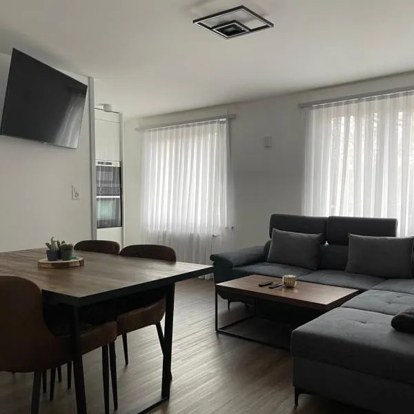 Appartement Wonder 2 au centre de Couvet，位于Couvet的酒店