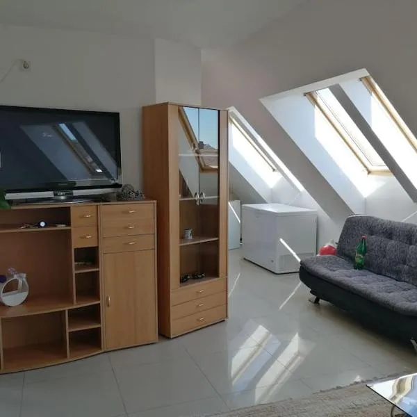 Apartman Nataša 3，位于弗尔沙茨的酒店