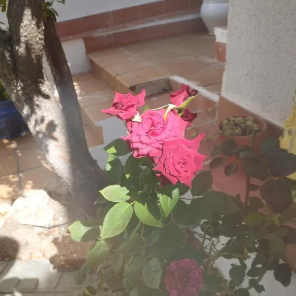 El Madroño de la Encantada，位于科尔多瓦的酒店