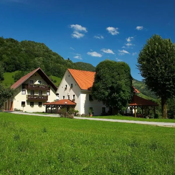 观光农场兹林客农家乐，位于Dolenja Trebuša的酒店