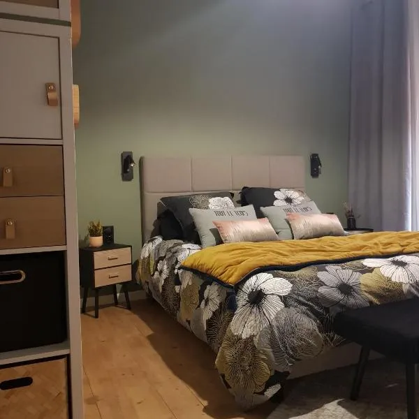 le J&J Appartement spacieux climatisé en centre ville，位于塞特港的酒店