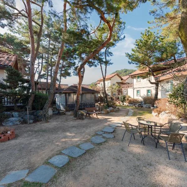 Clear morning pet friendly pension，位于庆州的酒店