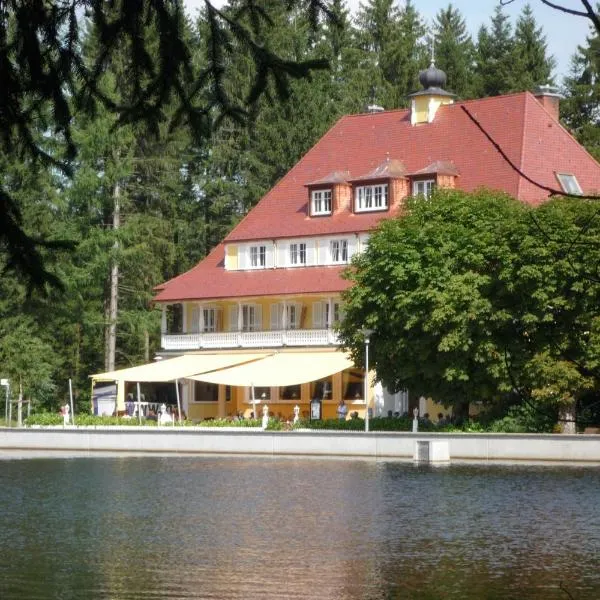 瓦尔德西酒店，位于Stiefenhofen的酒店