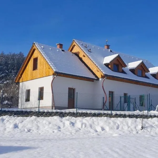 apartmán pod Ještědem，位于Světlá pod Ještědem的酒店