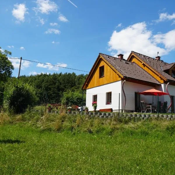 apartmán pod Ještědem，位于Hrubý Lesnov的酒店