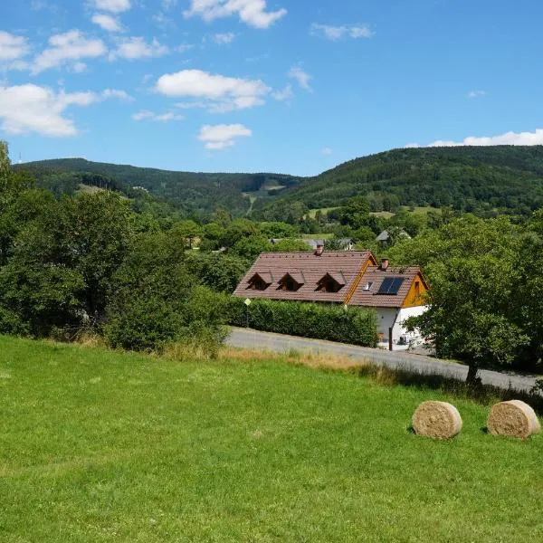 apartmán pod Ještědem，位于Světlá pod Ještědem的酒店