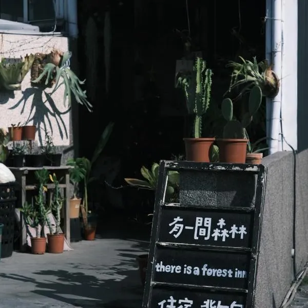 有一间森林民宿，位于小琉球岛的酒店