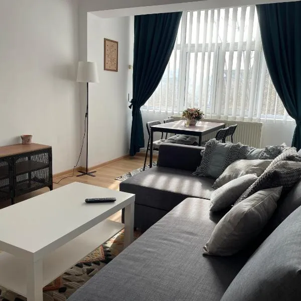 Apartament Cina，位于Huşi的酒店