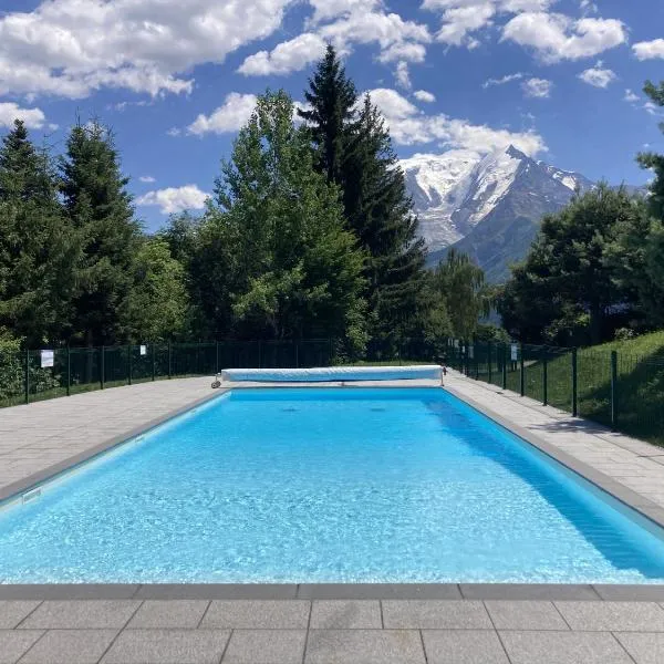 Le cocon du Bettex 1400 - Cozy Apt near Mont Blanc，位于圣热尔韦莱班的酒店