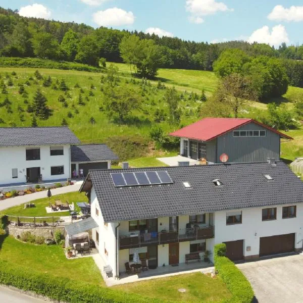 施密德公寓，位于Falkenfels的酒店