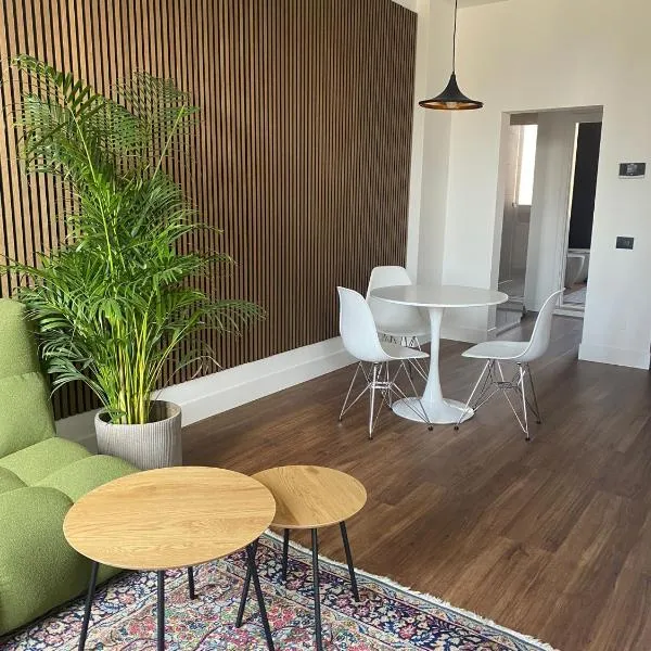 LOFT MANZONI 37，位于克雷莫纳的酒店