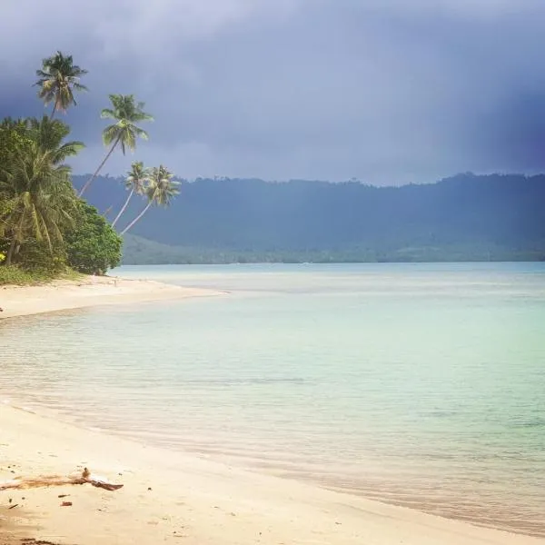 The Beach House at Dipnay San Fernando, El Nido，位于Sibaltan的酒店