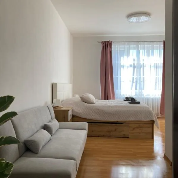 Apartmán Monika，位于Stříbrná的酒店