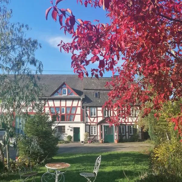 Hof Idarwald，位于Sulzbach的酒店