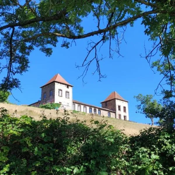 Château de Gorze，位于Saint-Bonnet-des-Bruyères的酒店