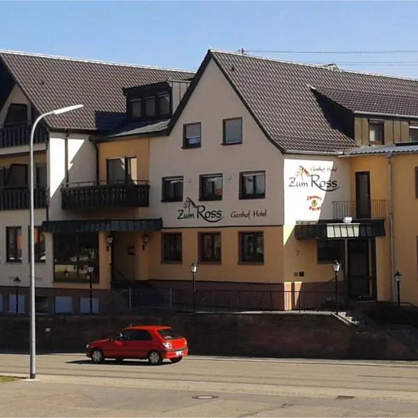 嘎斯霍夫祖姆罗斯酒店，位于Dorfprozelten的酒店