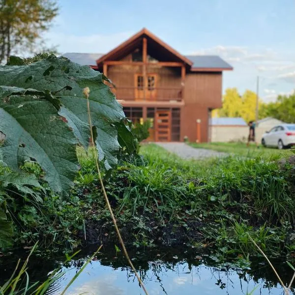 Hostal Treile，位于普孔的酒店