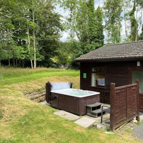 Birch Lodge 18 with Hot Tub，位于牛顿斯图尔特的酒店