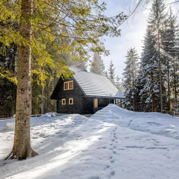 Cosy Lodge Pokljuka，位于Goreljek的酒店