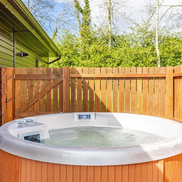 Birch Lodge 20 with Hot Tub，位于牛顿斯图尔特的酒店