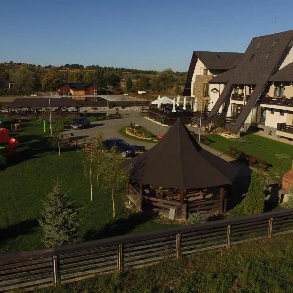 Casa Domnească Cacica，位于卡奇卡的酒店