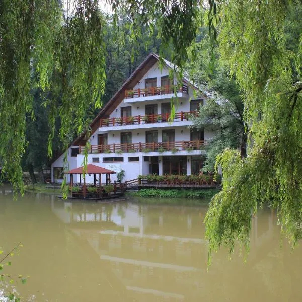 Guest house Lacul Linistit，位于莫内亚萨的酒店