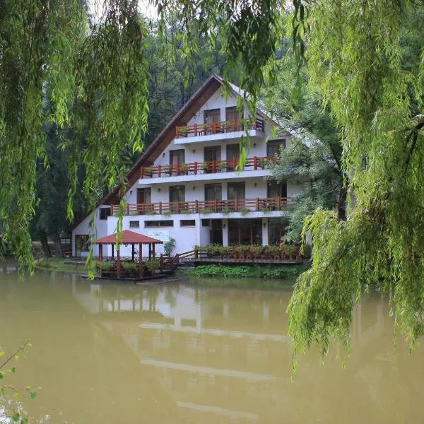 Guest house Lacul Linistit，位于Cuied的酒店