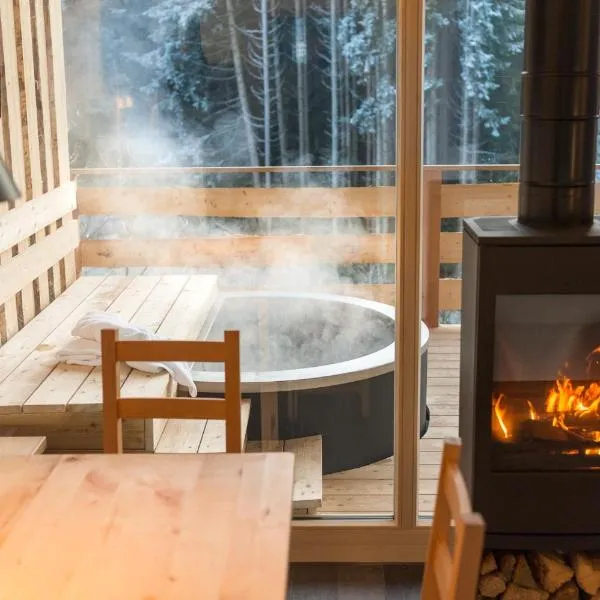 Forstgut - Premium Waldchalets und Lodge Suiten，位于雷根的酒店