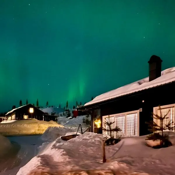 Family friendly cabin Hemsedal GolfAlpin golf, ski-out, fireplace & wifi，位于海姆瑟达尔的酒店
