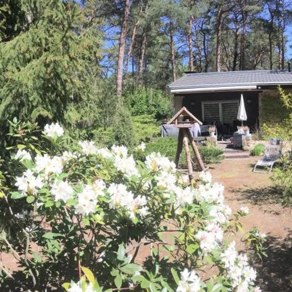 Ferienhaus Wald und Seeidylle, nahe Badesee, Spreewald, Berlin，位于莫岑的酒店