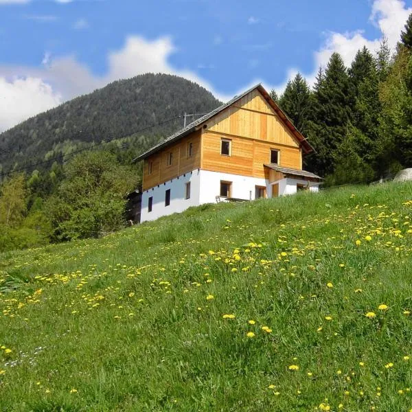 Karlbauer Hütte，位于Lendorf的酒店