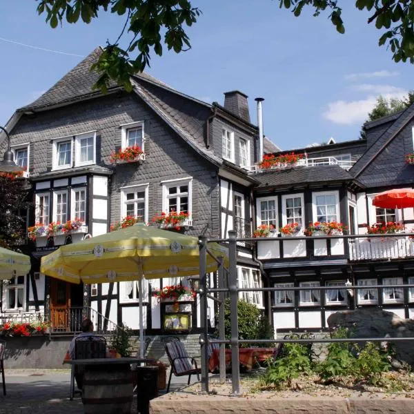 亚伯斯兰德酒店，位于Altenfeld的酒店