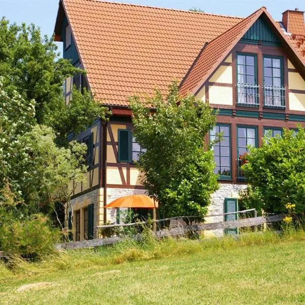 Kölliger Hirtenhaus，位于Wehr的酒店