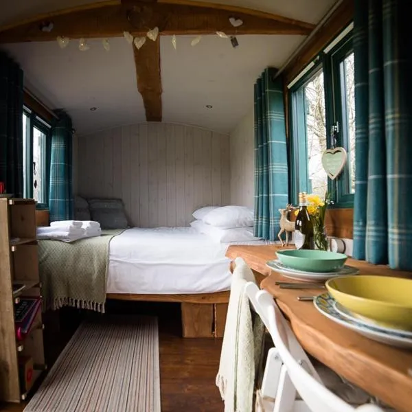 Shire the Shepherd's Hut at Pentref Luxury Camping，位于Llangeitho的酒店