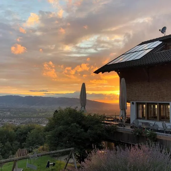 Hotel Dreiländerblick Dornbirn，位于哈德的酒店