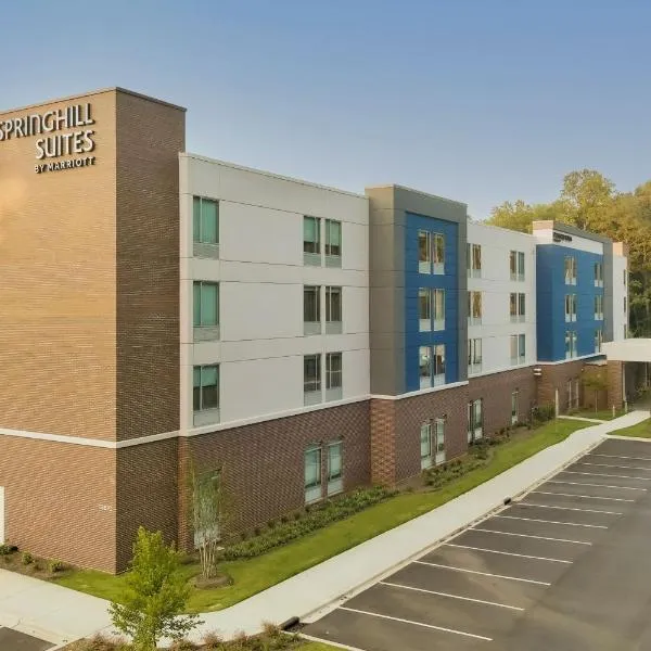 SpringHill Suites by Marriott Charlotte Huntersville，位于Bahama Park的酒店