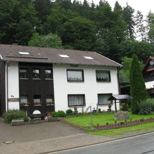 Ferienwohnung Gohlke，位于Kamschlacken的酒店