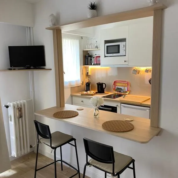 Appartement Maroelvi，位于芒通的酒店
