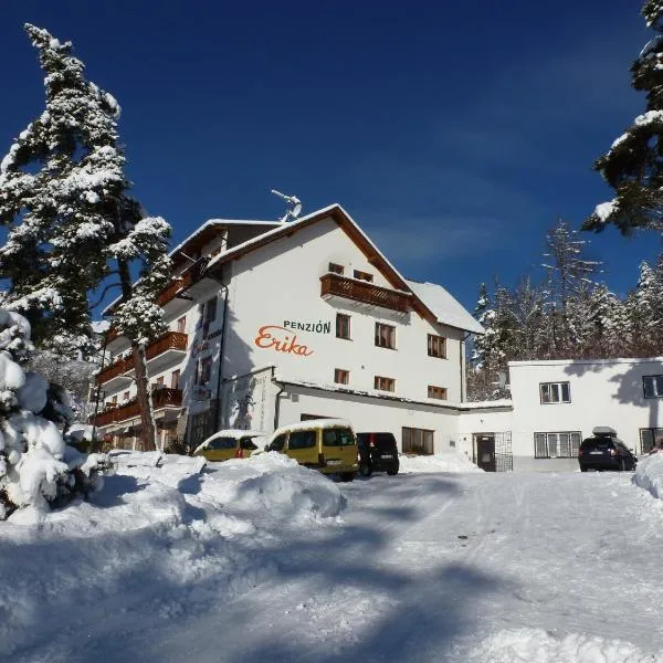 埃里卡旅馆，位于Vysoke Tatry - Tatranska Lesna的酒店