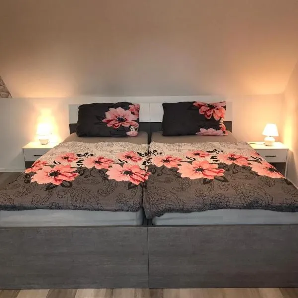 Pension Alice，位于Apfelstädt的酒店