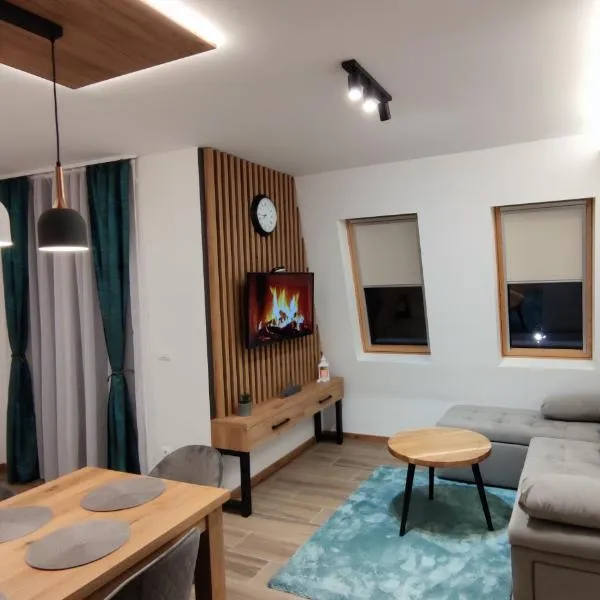 Apartman Danica，位于帕莱的酒店