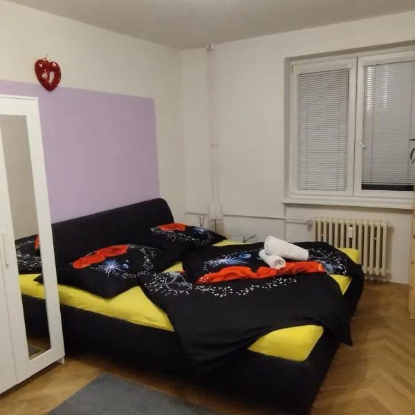 apartmán Mirabella，位于Královo Pole的酒店
