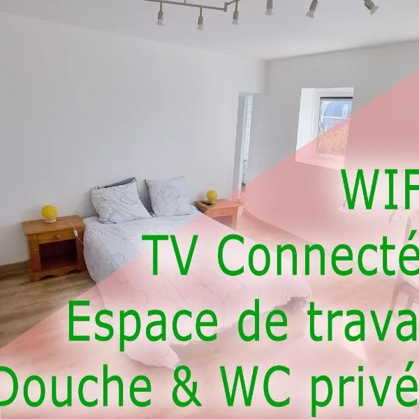 Studio - TV - WIFI - Salle De Bain privée，位于Avesnes-sur-Helpe的酒店