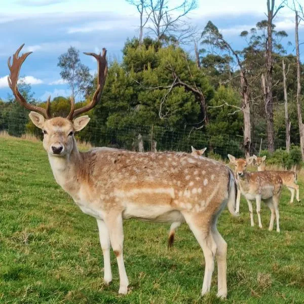 Wally's Edge 20acre Farm Stay，位于Rawson的酒店