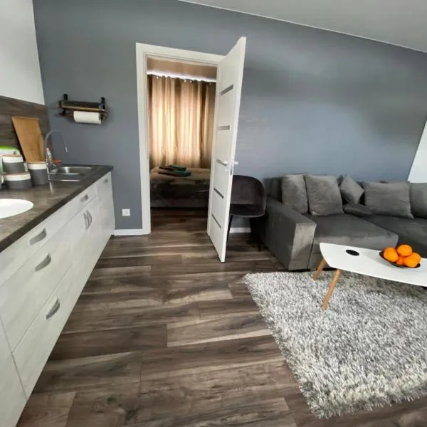 Trumpalaikė Nuoma-Apgyvendinimas，位于罗基什基斯的酒店