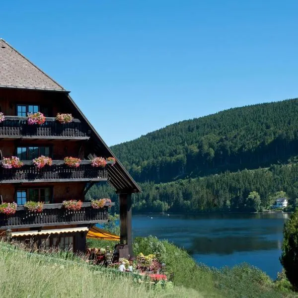 Alemannenhof - Boutique Hotel am Titisee，位于欣特察尔滕的酒店