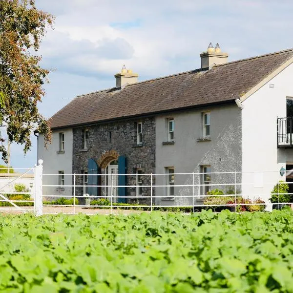 The Granary, Luxuriously Restored Barn on a Farm，位于Rathdowney的酒店